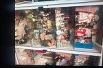 Sale Photo Thumbnail #111