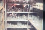 Sale Photo Thumbnail #34