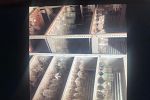 Sale Photo Thumbnail #49