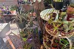 Sale Photo Thumbnail #26