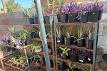 Sale Photo Thumbnail #27