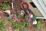 Sale Photo Thumbnail #59