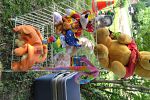 Sale Photo Thumbnail #8
