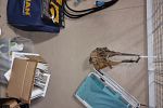 Sale Photo Thumbnail #34