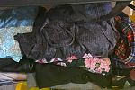 Sale Photo Thumbnail #12