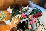 Sale Photo Thumbnail #10