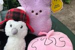 Sale Photo Thumbnail #8