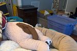 Sale Photo Thumbnail #22