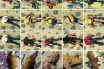 Sale Photo Thumbnail #18