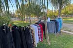 Sale Photo Thumbnail #12