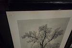 Sale Photo Thumbnail #30