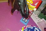 Sale Photo Thumbnail #32