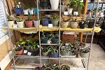 Sale Photo Thumbnail #16