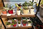 Sale Photo Thumbnail #15