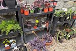 Sale Photo Thumbnail #19