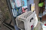 Sale Photo Thumbnail #14
