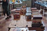 Sale Photo Thumbnail #14
