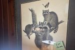 Sale Photo Thumbnail #36