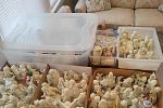 Sale Photo Thumbnail #13
