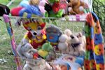 Sale Photo Thumbnail #19
