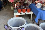 Sale Photo Thumbnail #14