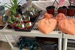 Sale Photo Thumbnail #20