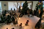 Sale Photo Thumbnail #31