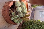 Sale Photo Thumbnail #37