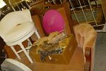 Sale Photo Thumbnail #32