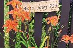 Sale Photo Thumbnail #12
