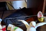 Sale Photo Thumbnail #115