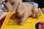 Sale Photo Thumbnail #380