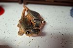 Sale Photo Thumbnail #263