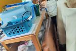 Sale Photo Thumbnail #20