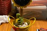 Sale Photo Thumbnail #15