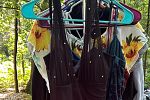 Sale Photo Thumbnail #12