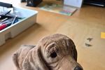 Sale Photo Thumbnail #16