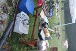 Sale Photo Thumbnail #22