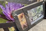 Sale Photo Thumbnail #45