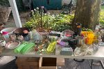 Sale Photo Thumbnail #5