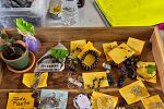 Sale Photo Thumbnail #11