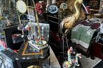 Sale Photo Thumbnail #8