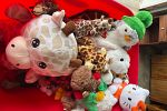 Sale Photo Thumbnail #17