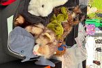Sale Photo Thumbnail #11