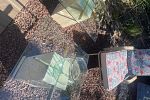 Sale Photo Thumbnail #20