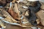 Sale Photo Thumbnail #33