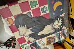 Sale Photo Thumbnail #17
