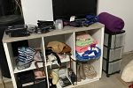 Sale Photo Thumbnail #4
