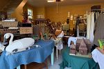 Sale Photo Thumbnail #10