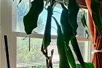 Sale Photo Thumbnail #35
